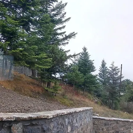 Βίλα Relax In Mainalo