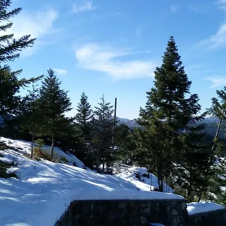 Relax In Mainalo Villa