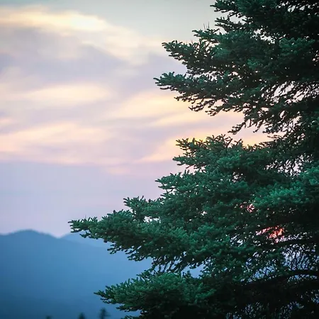 Relax In Mainalo Vila