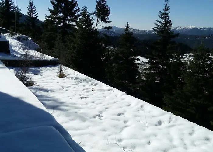 Relax In Mainalo Villa *