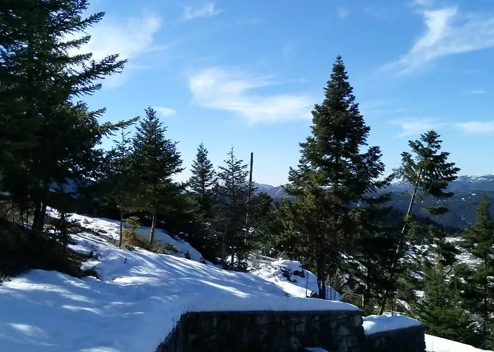 Relax In Mainalo Villa