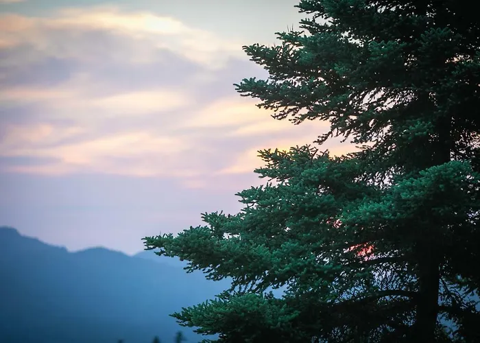 Relax In Mainalo Villa